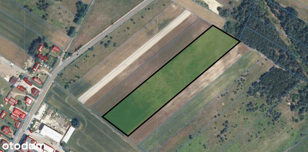 Grunty Rolne 4,19 Ha – Dwie Działki - Radoszewnica