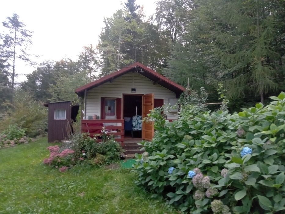 Sprzedam dwie działki przy lesie.