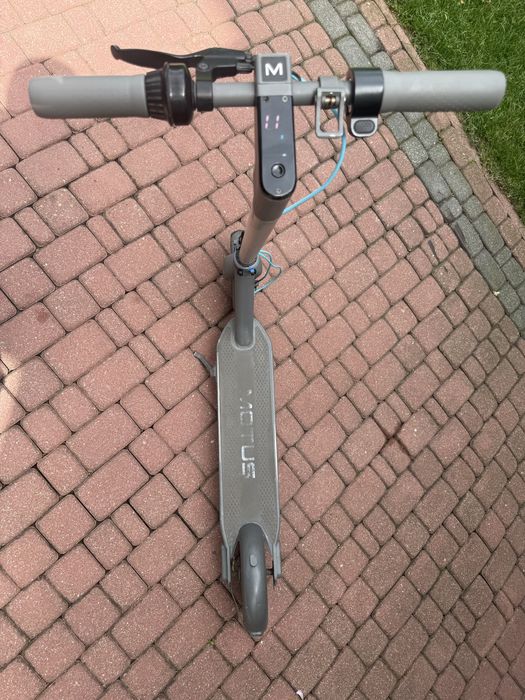 Hulajnoga elektryczna Motus Scooty 10 2022