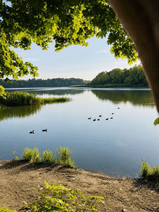 Продаж котеджу в мальовничій локаціі Львів Малечковичі!