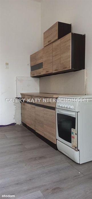 Mieszkanie typu Loft przy parku
