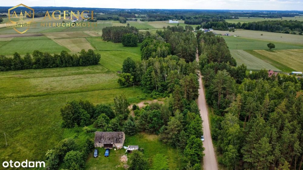 ** Działka z WZ przy lesie * Krypno Wielkie ** - Widok 5