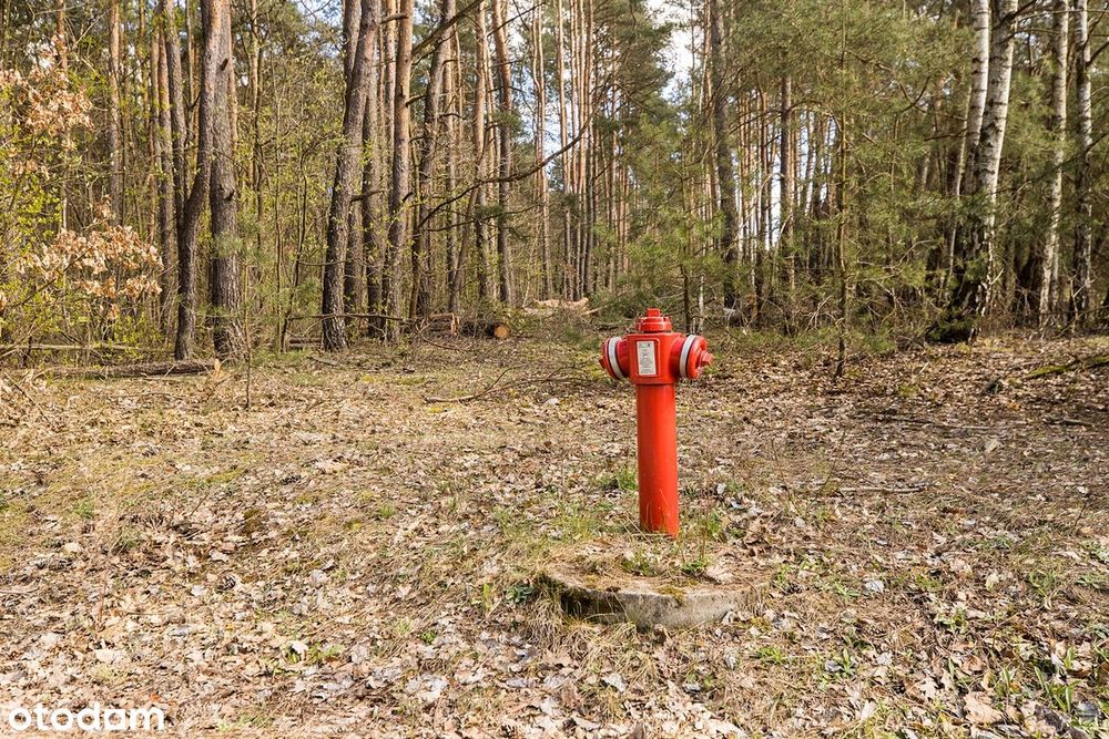 Piękna działka idealna pod rekreacje odpoczynek zadrzewiona las natura