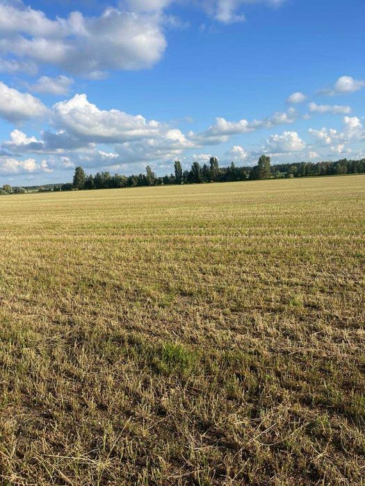 Фасад земля 6.6га строительство домов или теплицы Колонщина-Маковище