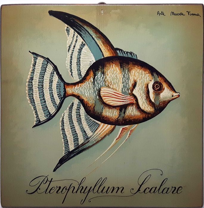 Coleção de Quadros de Peixes