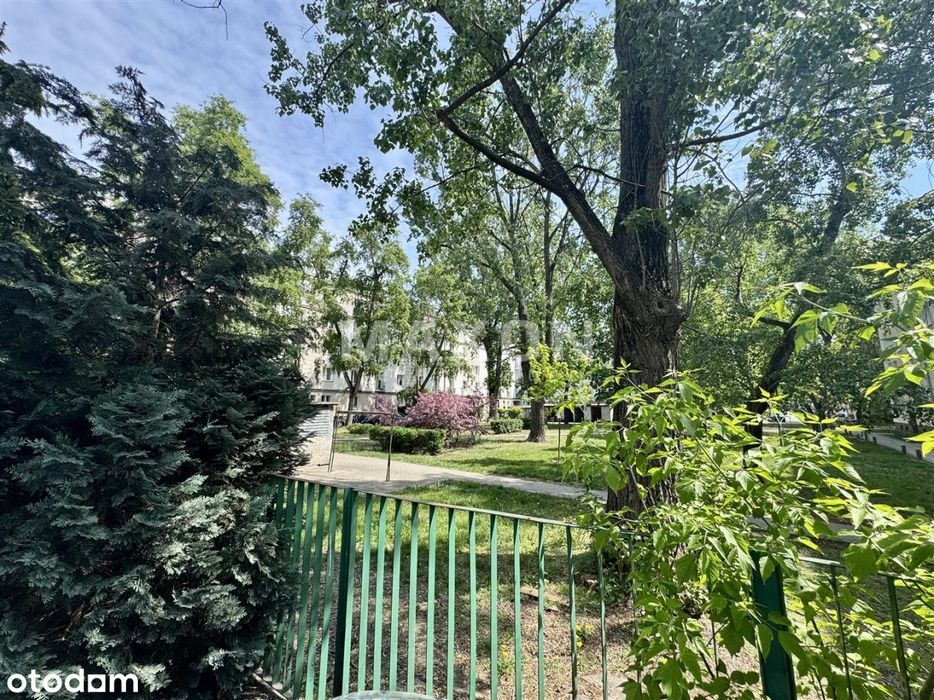 3 pokoje ✨ 2 poziomy ✨ 2 osobne wejścia ✨ Balkon