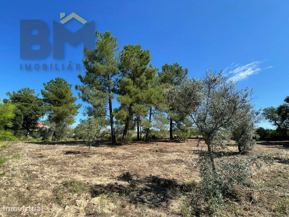 Terreno de 4000m² à Venda em Freixial do Campo