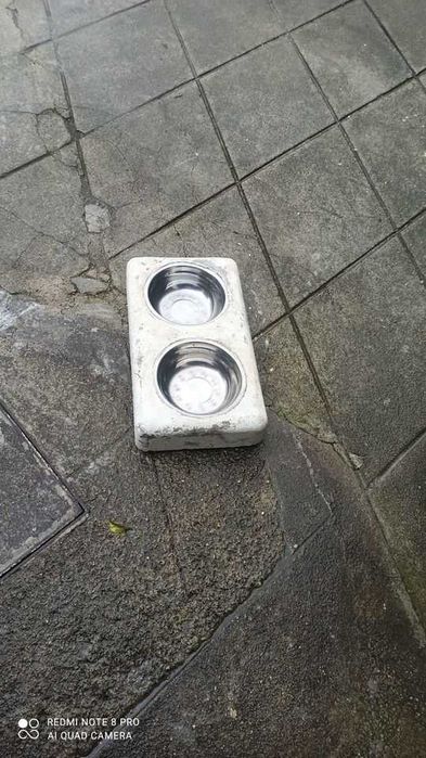 Casa para cão e comedouro