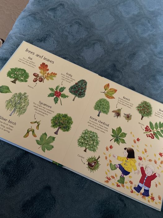 Poppy and Sam ( usborne)