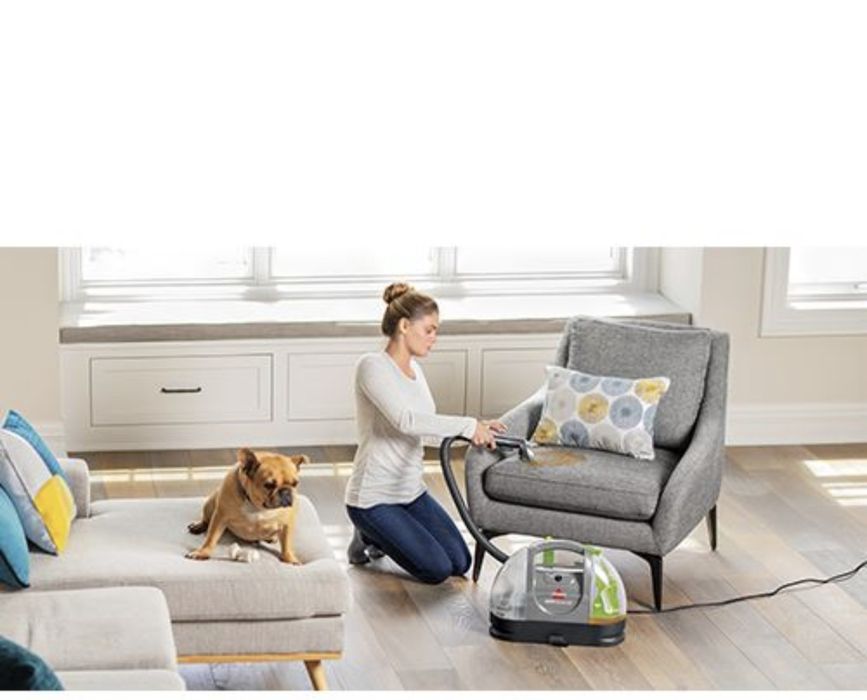 o aspirador de carpetes e estofos