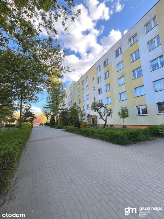 Obszerne mieszkanie 61 m2 Rubinkowo, Działowskiego