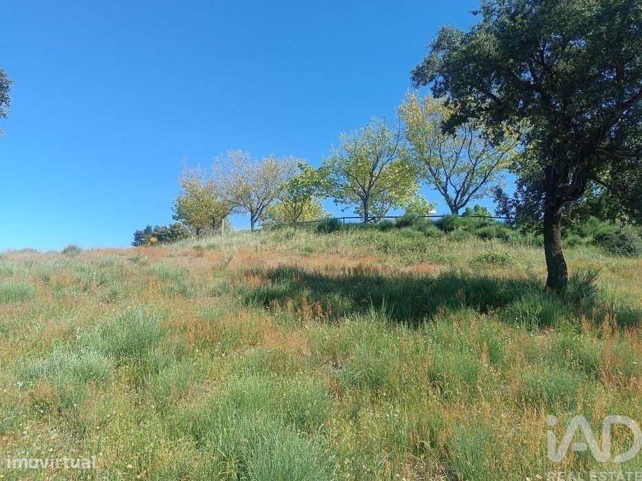 Terreno em Freixo de Espada à Cinta e Mazouco de 49572,00 m2
