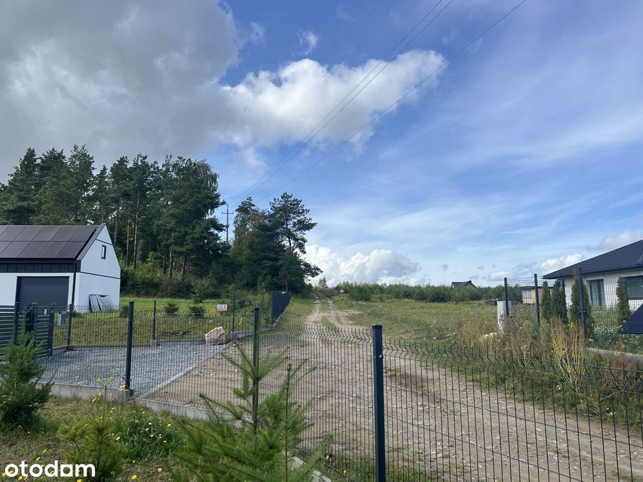 Działka siedliskowa 3 003 m² z prawem zabudowy (Sopieszyno)