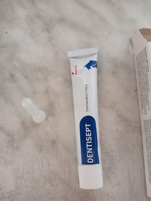 Дентісепт - стоматологічний гель для котиків