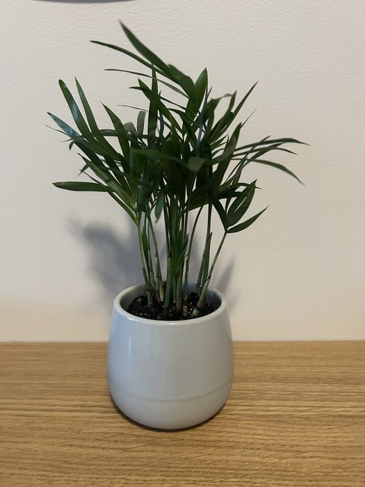 Mini doniczka na kwiatka