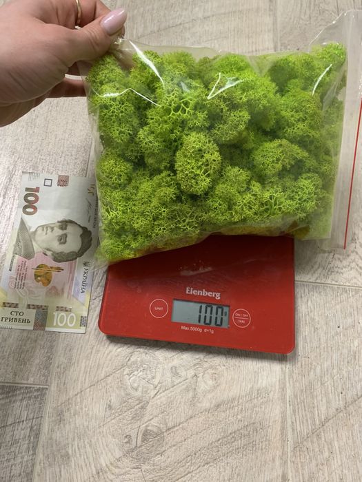 Стабілізований  мох