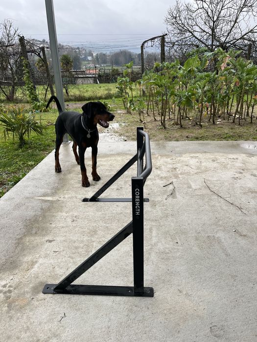 Barra paralela baixa/rail de treino corength