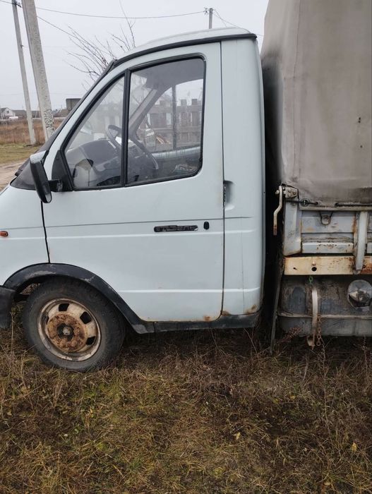 Газель тентована