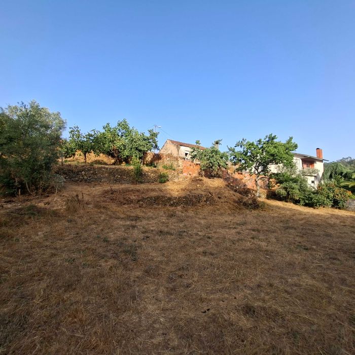 Vende-se terreno com 1250m2 e casa antiga em ruinas