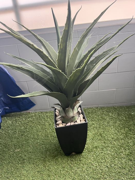 Planta arteficial como nova