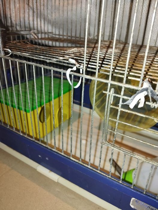Клетка для попугая ,клетка для хомяка.Маленьаяи и побольше 100 грн