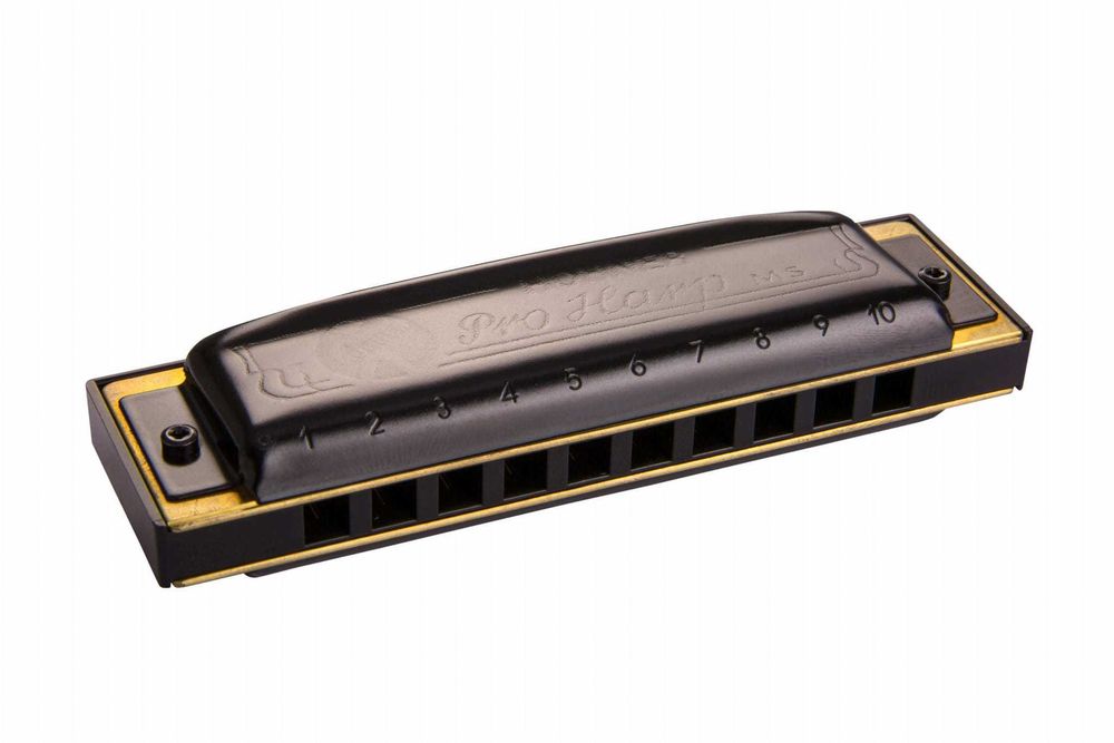 Harmonijka ustna Pro Harp 562/20 MS G + książka samouczek