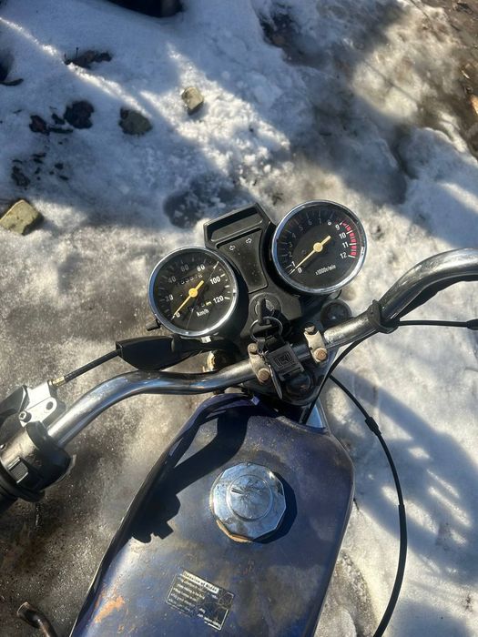 Мустанг альфа 110