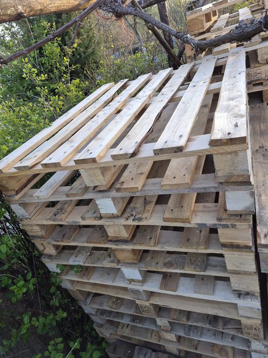 Sprzedam palety  w rozmiarze euro  i przemysłowe