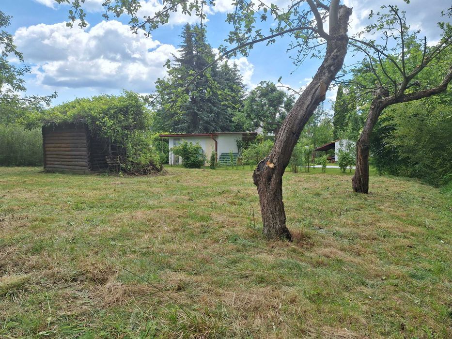 Działka ROD H. Wieniawskiego w Rzeszowie - Widok 2