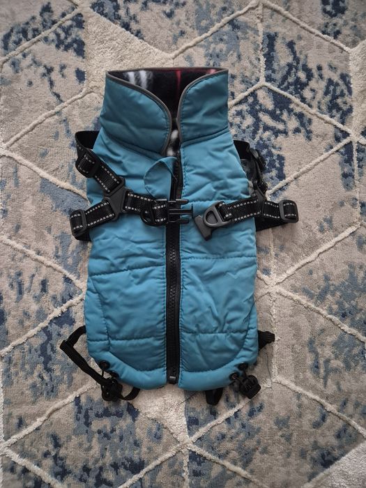 Kurteczka dla pieska