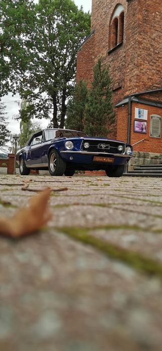 Ford Mustang 1967 rok do ślubu, eventy, filmy, sesje zdjęciowe,