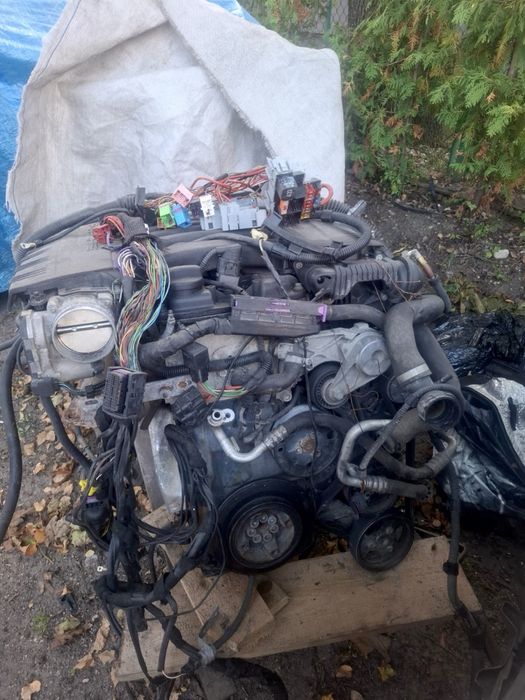 Silnik Porsche Cayenne II / 3.6 / V6 / benzyna / M55