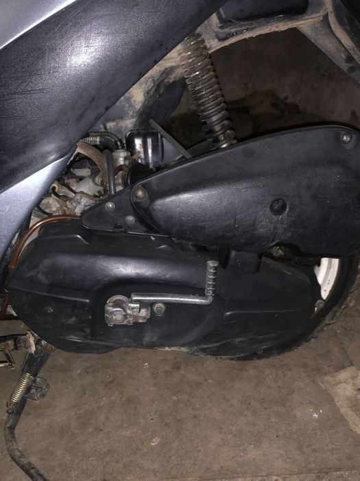 Suzuki lets 2 бабочка!