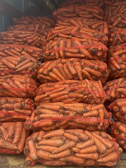 Продам картоплю та моркуву