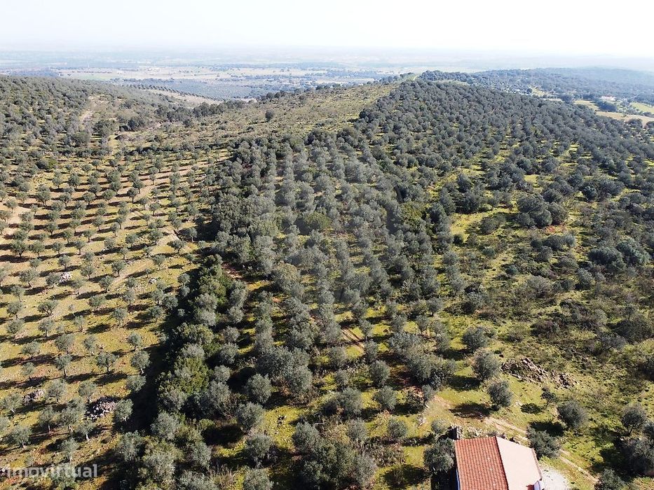 Terreno  para venda — Ameixial (Santa Vitória E São Bento), Évora