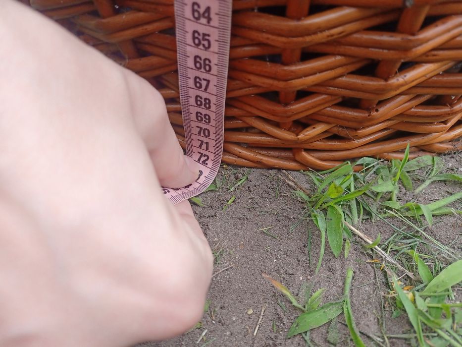 Kosz wiklinowy typu beczka 72cm