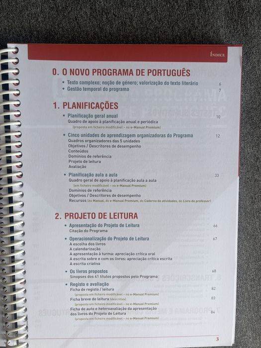 Livro do professor plural 11