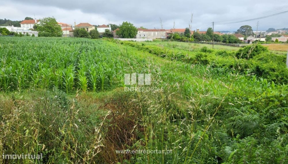 Venda de Terreno, Vila Nova de Anha, Viana do Castelo