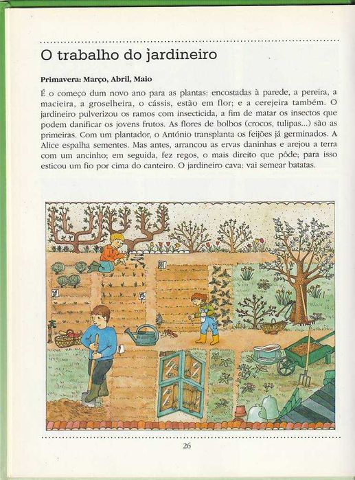 O jardim dos pequeninos-Ann Rocard; Claire Nadaud-Asa