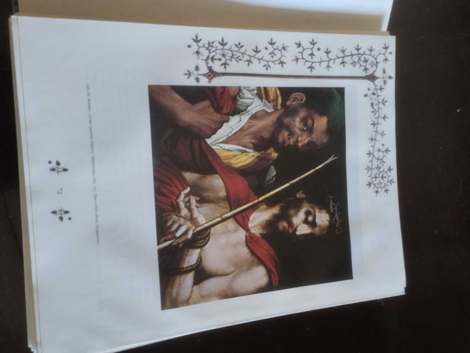 Bíblia Sagrada Novo Testamento ilustrado