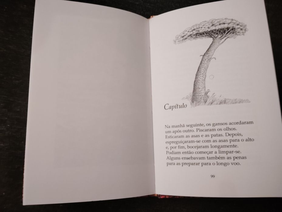 Livro A História do Pequeno Ganso Que Era Vagaroso Novo