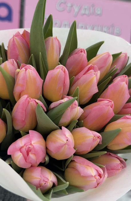 Продам тюльпани  оптом