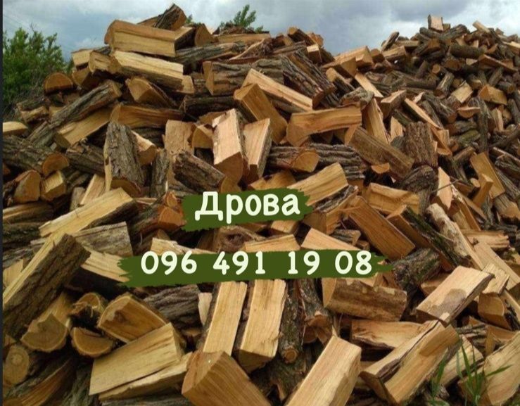 Дрова колоті твердих порід