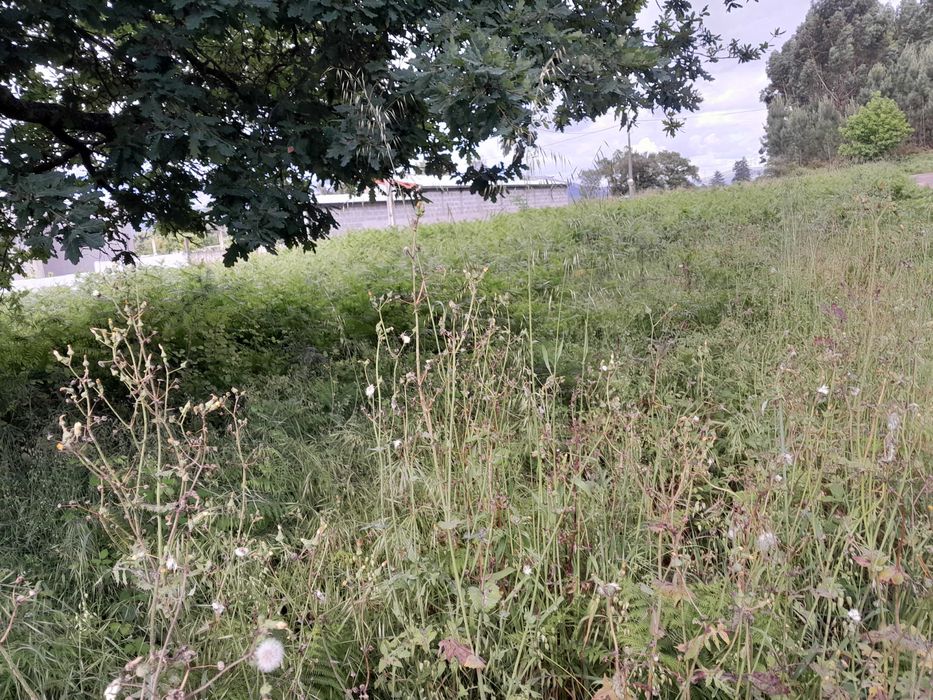 Terreno Construtivo em Zona de excelência