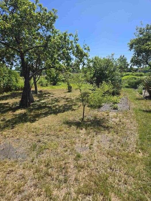 Дача, Поліська Новина 5