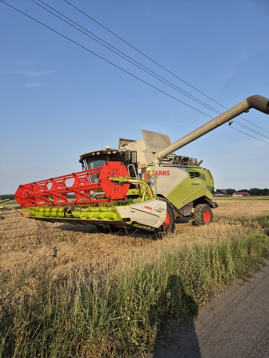 Usługi rolnicze koszenie zbóż zboża rzepaku