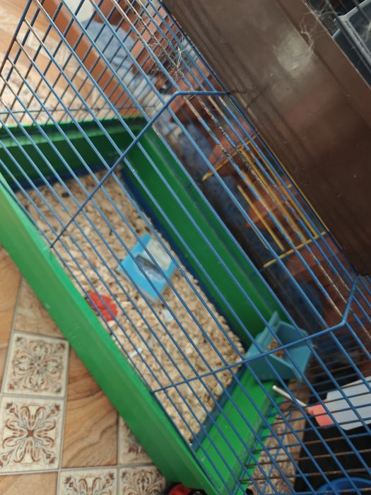Продам клетки для грызунов