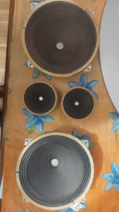 Динамики на колонки