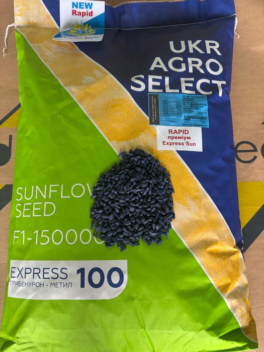 Гібрид соняшника Рапід