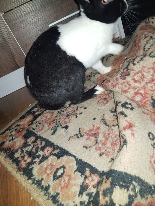 Ogłoszenie prywatne